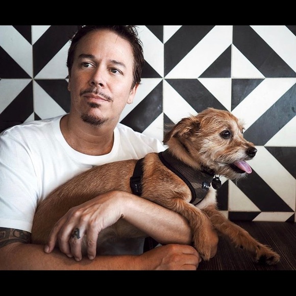 Meet your Posher, Wilson Puppy! πβ€οΈπ« - Picture 4 of 8